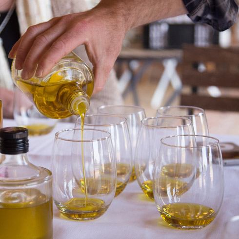 Tast d'olis i tast de vins