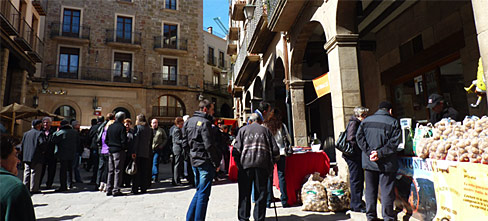 Solsona