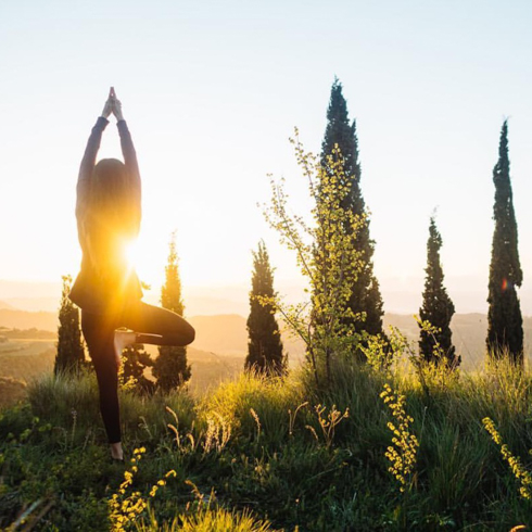 Ioga i meditació