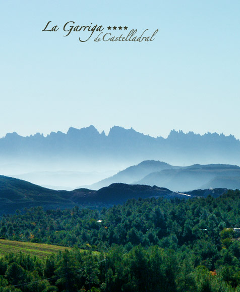 Contacte amb nosaltres